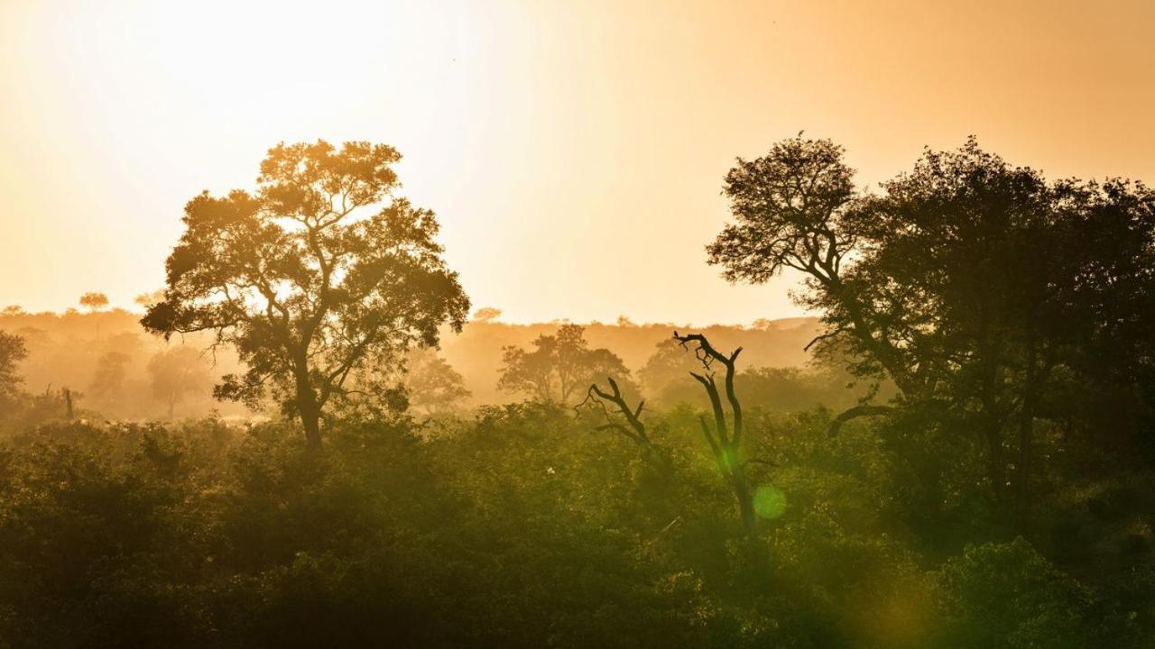Geiger'S Camp In Timbavati Game Reserve By Newmark 外观 照片