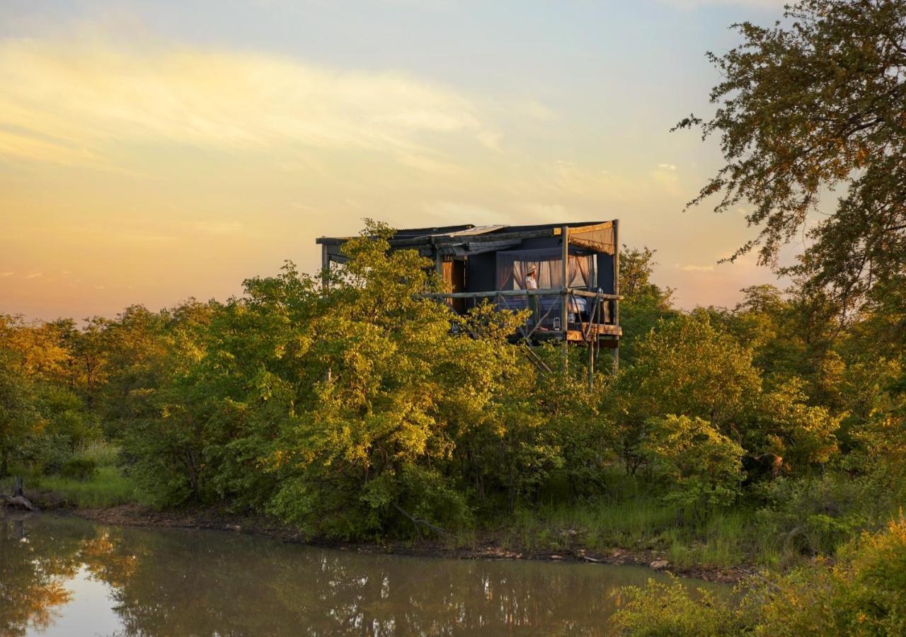 Geiger'S Camp In Timbavati Game Reserve By Newmark 外观 照片